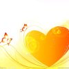 双宿双飞的头像
