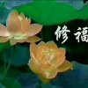 梦中秋节的头像