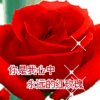 豪雨的头像