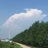 缘来、就是你的头像