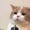 一缕阳光的头像