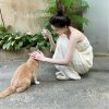 wangjiajia的头像