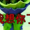 江哥的头像
