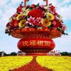 大兵的头像