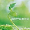 如烟似梦的头像