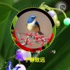 宁静致远的头像