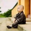 方圆人生的头像