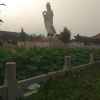 SQ松缘℡守望幸福的头像