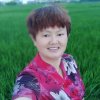 秋霞的头像