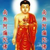 光明的头像