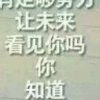 美声唱将的头像