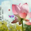 星辰(暂退)的头像