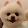 淑姐的头像