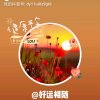 好运来的头像
