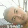 花冉的头像