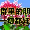 laowu（56）的头像