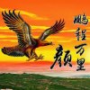 余生安好的头像