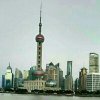 幸福的头像