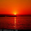 冬日太阳的头像