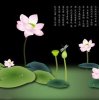 小悠悠的头像