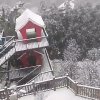 何必纠缠的头像