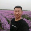 阳光杰哥～忙碌的头像