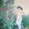 李淑清的头像