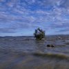 中国梦浮生若梦@的头像