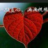 红叶的头像