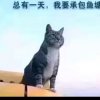 开心听歌！的头像