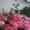 玫瑰的头像