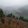 I富贵福星的头像