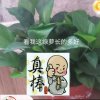 我只在乎你的头像