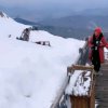 冰天雪地的头像