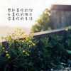 丶Summer℡ 念的头像