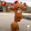 小贝看世界的头像