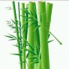心静如水的头像
