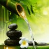 白天不懂夜的黑的头像