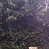 平平淡淡的头像