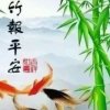 小鱼儿的头像