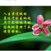 从善如流(有空就冒泡)的头像