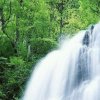 地理风水的头像