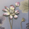 莲的头像
