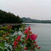 zLT的头像