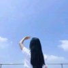 静月幻梦的头像