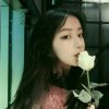 〔君一〕.的头像