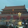 雄鹰的头像