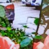 缘聚风的头像