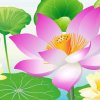虚空世界悉我自心的头像