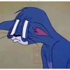 猪猪的头像